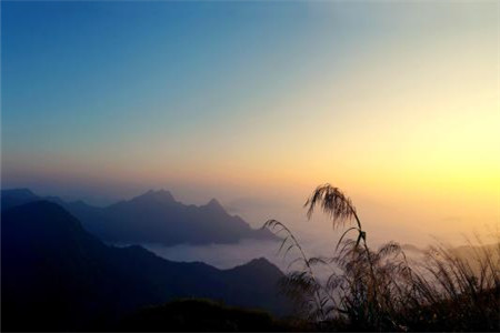 2019年湖南理工職業(yè)技術(shù)學(xué)院成考專升本現(xiàn)場確認流程