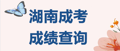 湖南成考成績查詢