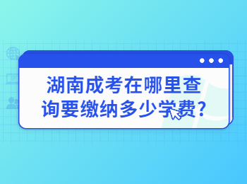 湖南成考網 湖南成人高考網學費繳納