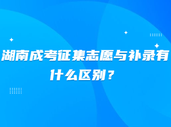 湖南成考征集志愿與補錄有什么區(qū)別？