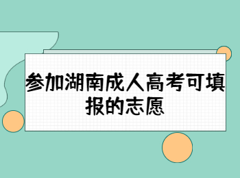 參加湖南成人高考可填報(bào)的志愿