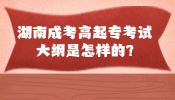 湖南成考高起專考試大綱