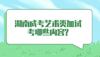 湖南成考藝術類加試